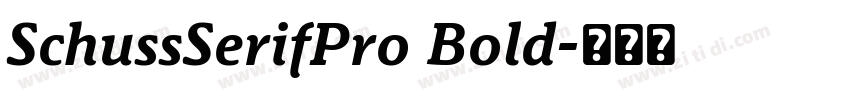 SchussSerifPro Bold字体转换